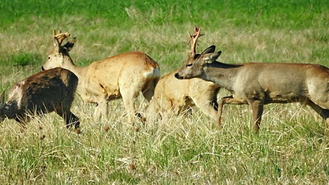 Csodálatos természet 20